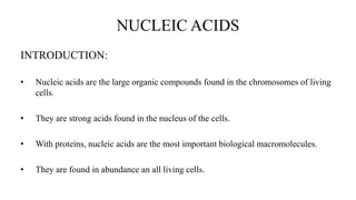 NUCLEIC ACIDS
INTRODUCTION:
• Nucleic acids are the large organic compounds found in the chromosomes of living
cells.
• They are strong acids found in the nucleus of the cells.
• With proteins, nucleic acids are the most important biological macromolecules.
• They are found in abundance an all living cells.
 