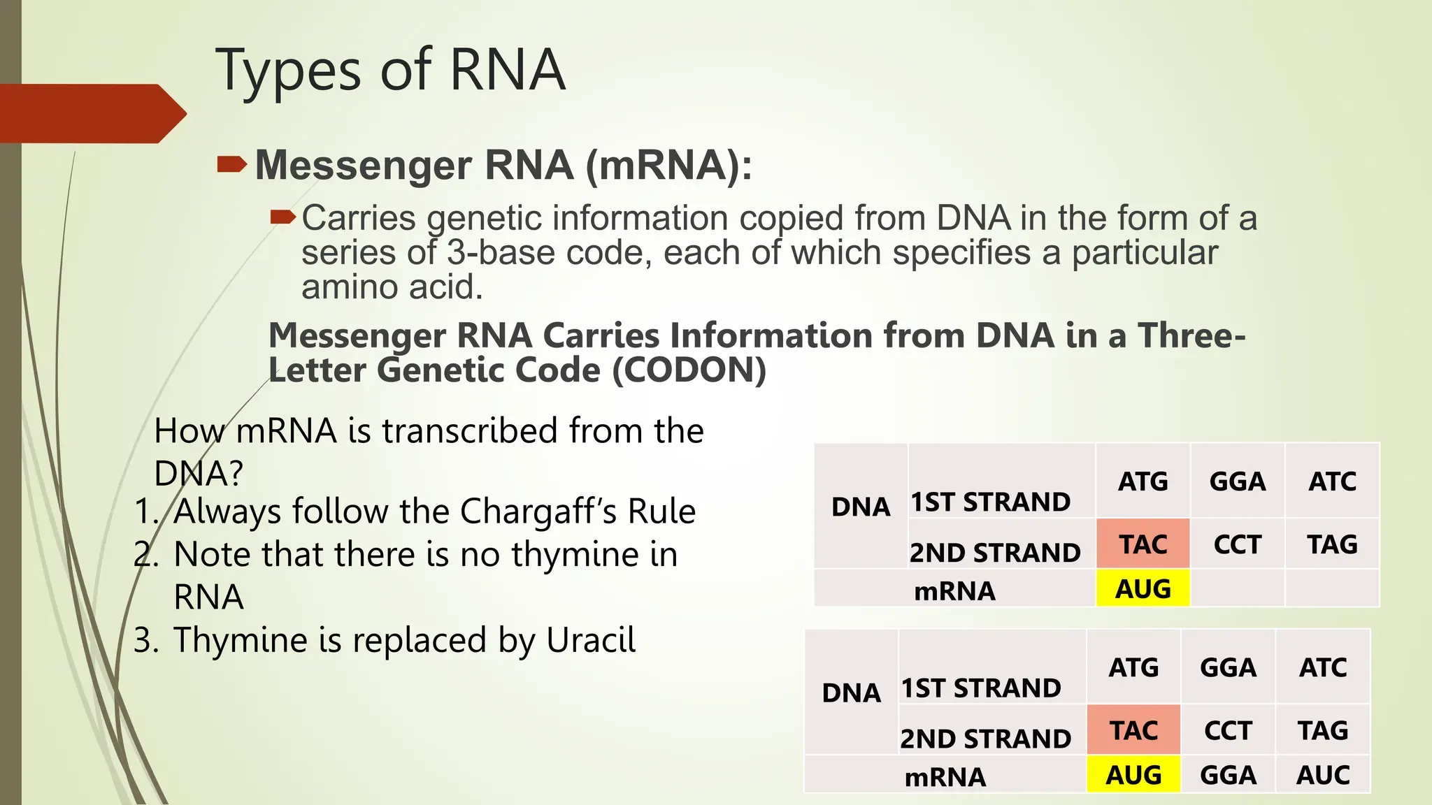 CENTRAL DOGMA OF MOLECULAR.pptx