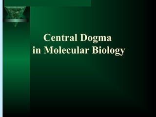 Chapter 12: From DNA to Protein: Genotype to Phenotype
Central Dogma
in Molecular Biology
 