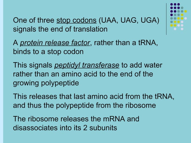 Central dogma of molecular biology