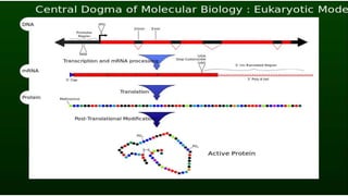 Central dogma of molecular biology with video slide. | PPTX