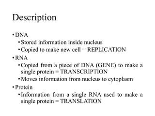 Description
•DNA
•Stored information inside nucleus
•Copied to make new cell = REPLICATION
•RNA
•Copied from a piece of DNA (GENE) to make a
single protein = TRANSCRIPTION
•Moves information from nucleus to cytoplasm
•Protein
•Information from a single RNA used to make a
single protein = TRANSLATION
 