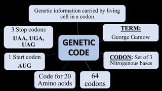 Central dogma of molecular biology | PPTX