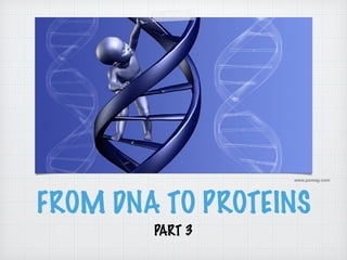 www.psmag.com 
FROM DNA TO PROTEINS 
PART 3 
 