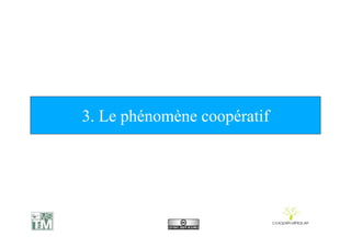 Centrale Cooperatique07
