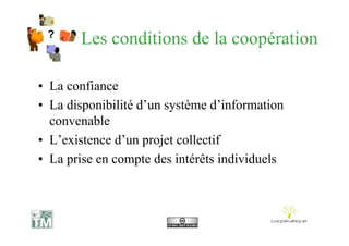 Centrale Cooperatique07