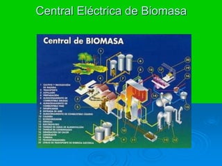 Central Eléctrica de Biomasa
 
