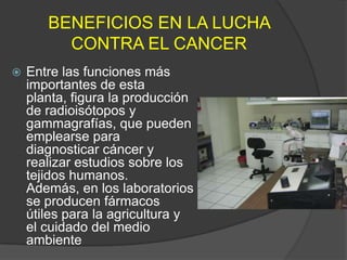 BENEFICIOS EN LA LUCHA CONTRA EL CANCEREntre las funciones más importantes de esta planta, figura la producción de radioisótopos y gammagrafías, que pueden emplearse para diagnosticar cáncer y realizar estudios sobre los tejidos humanos. Además, en los laboratorios se producen fármacos útiles para la agricultura y el cuidado del medio ambiente