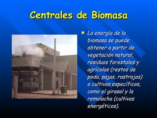 Centrales de Biomasa La energía de la biomasa se puede obtener a partir de vegetación natural, residuos forestales y agrícolas (restos de poda, pajas, rastrojos) o cultivos específicos, como el girasol y la remolacha (cultivos energéticos). 