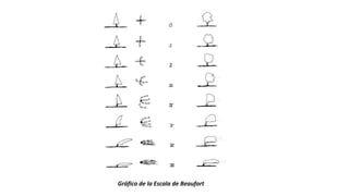 Gráfico de la Escala de Beaufort
 
