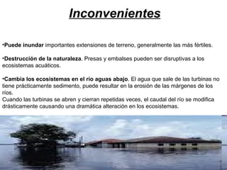 Inconvenientes Puede inundar  importantes extensiones de terreno, generalmente las más fértiles. Destrucción de la naturaleza . Presas y embalses pueden ser disruptivas a los ecosistemas acuáticos.  Cambia los ecosistemas en el río aguas abajo . El agua que sale de las turbinas no tiene prácticamente sedimento, puede resultar en la erosión de las márgenes de los ríos.  Cuando las turbinas se abren y cierran repetidas veces, el caudal del río se modifica drásticamente causando una dramática alteración en los ecosistemas.  