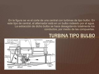 En la figura se ve el corte de una central con turbinas de tipo bulbo. En
este tipo de central, el alternador está en un bulbo rodeado por el agua.
La extracción de dicho bulbo se hace desagotando totalmente los
conductos, por medio de las compuertas.
TURBINA TIPO BULBO
 