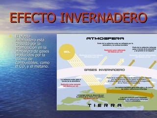EFECTO INVERNADERO El efecto invernadero está causado por la acumulación en la atmósfera de gases producidos por la quema de combustibles, como el CO 2  y el metano. 