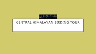 CENTRAL HIMALAYAN BIRDING TOUR
 