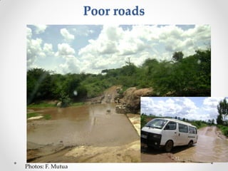 Challenges of designing pig diets using local feedstuffs for Ugandan subsistence farmers