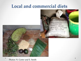 Challenges of designing pig diets using local feedstuffs for Ugandan subsistence farmers