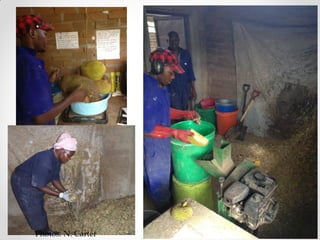 Challenges of designing pig diets using local feedstuffs for Ugandan subsistence farmers