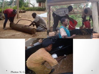 Challenges of designing pig diets using local feedstuffs for Ugandan subsistence farmers