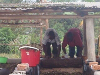 Challenges of designing pig diets using local feedstuffs for Ugandan subsistence farmers