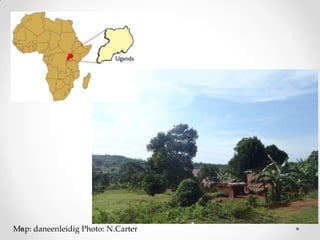 Challenges of designing pig diets using local feedstuffs for Ugandan subsistence farmers