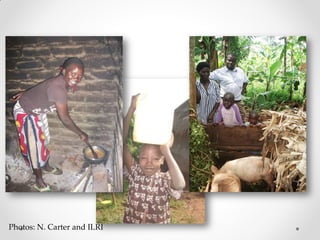 Challenges of designing pig diets using local feedstuffs for Ugandan subsistence farmers
