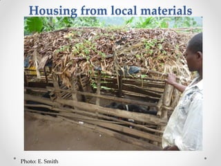 Challenges of designing pig diets using local feedstuffs for Ugandan subsistence farmers