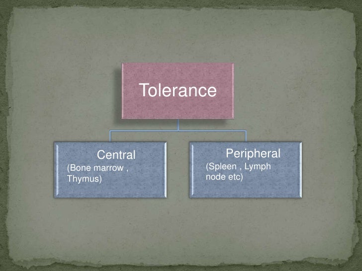 Central immunological tolerance