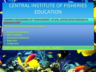 CENTRAL INSTITUTE OF FISHERIES
EDUCATION
FROM TECHNO INDIA UNIVERSITY, SALT LAKE , SECTOR --5
 