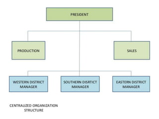 Centralisation and decentralisation 