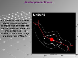 Ce fait d’une part et d’autre
d’une ossature urbaine
allongée avec convergence
latérale du réseau viaire, les
sites concernés : les
vallées, cours d’eau, rivage
maritime (cas d’Alger).
développement linaire :
 