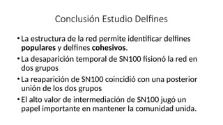 Conclusión Estudio Delfines
•La estructura de la red permite identificar delfines
populares y delfines cohesivos.
•La desaparición temporal de SN100 fisionó la red en
dos grupos
•La reaparición de SN100 coincidió con una posterior
unión de los dos grupos
•El alto valor de intermediación de SN100 jugó un
papel importante en mantener la comunidad unida.
 