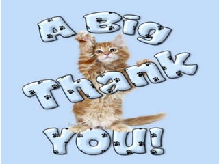 Centralization vs decentralization presentation