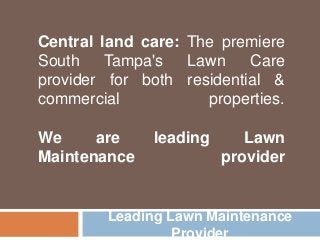 Central land care: The premiere
South Tampa's Lawn Care
provider for both residential &
commercial properties.
We are leading Lawn
Maintenance provider
Leading Lawn Maintenance
Provider
 