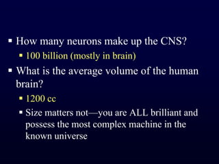 How many neurons make up the CNS?100 billion (mostly in brain)What is the average volume of the human brain?1200 ccSize matters not—you are ALL brilliant and possess the most complex machine in the known universe