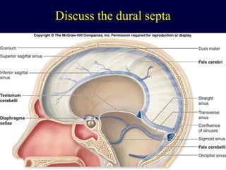 Discuss the dural septa
