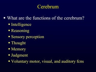 CerebrumWhat are the functions of the cerebrum?IntelligenceReasoningSensory perceptionThoughtMemoryJudgmentVoluntary motor, visual, and auditory fcns