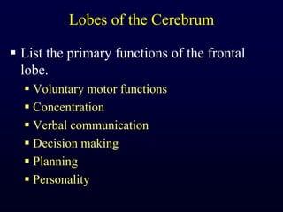 Lobes of the CerebrumList the primary functions of the frontal lobe.Voluntary motor functionsConcentrationVerbal communicationDecision makingPlanningPersonality