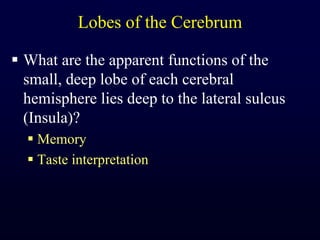 Lobes of the CerebrumWhat are the apparent functions of the small, deep lobe of each cerebral hemisphere lies deep to the lateral sulcus (Insula)?MemoryTaste interpretation
