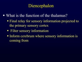 DiencephalonWhat is the function of the thalamus?Final relay for sensory information projected to the primary sensory cortex Filter sensory informationInform cerebrum where sensory information is coming from