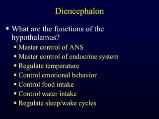 DiencephalonWhat are the functions of the hypothalamus?Master control of ANSMaster control of endocrine systemRegulate temperatureControl emotional behaviorControl food intakeControl water intakeRegulate sleep/wake cycles