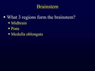 BrainstemWhat 3 regions form the brainstem?MidbrainPonsMedulla oblongata