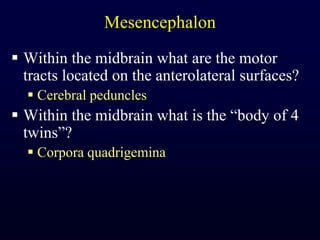 MesencephalonWithin the midbrain what are the motor tracts located on the anterolateral surfaces?Cerebral pedunclesWithin the midbrain what is the “body of 4 twins”?Corpora quadrigemina