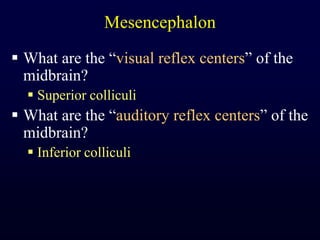 MesencephalonWhat are the “visual reflex centers” of the midbrain?Superior colliculiWhat are the “auditory reflex centers” of the midbrain?Inferior colliculi