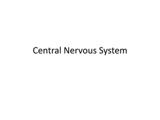 Central Nervous System 