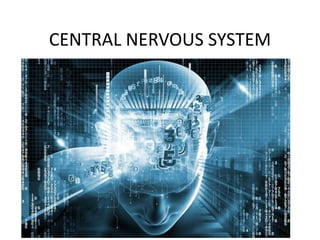 CENTRAL NERVOUS SYSTEM
 