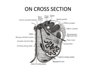 ON CROSS SECTION
 