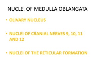 NUCLEI OF MEDULLA OBLANGATA
• OLIVARY NUCLEUS
• NUCLEI OF CRANIAL NERVES 9, 10, 11
AND 12
• NUCLEI OF THE RETICULAR FORMATION
 