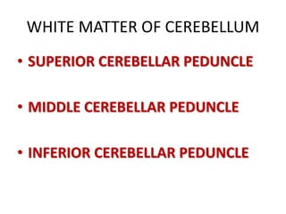 WHITE MATTER OF CEREBELLUM
• SUPERIOR CEREBELLAR PEDUNCLE
• MIDDLE CEREBELLAR PEDUNCLE
• INFERIOR CEREBELLAR PEDUNCLE
 
