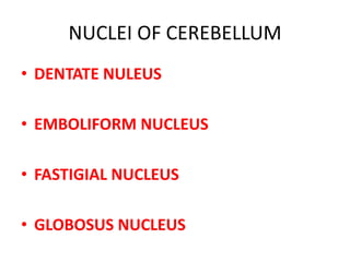 NUCLEI OF CEREBELLUM
• DENTATE NULEUS
• EMBOLIFORM NUCLEUS
• FASTIGIAL NUCLEUS
• GLOBOSUS NUCLEUS
 