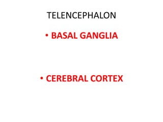 TELENCEPHALON
• BASAL GANGLIA
• CEREBRAL CORTEX
 
